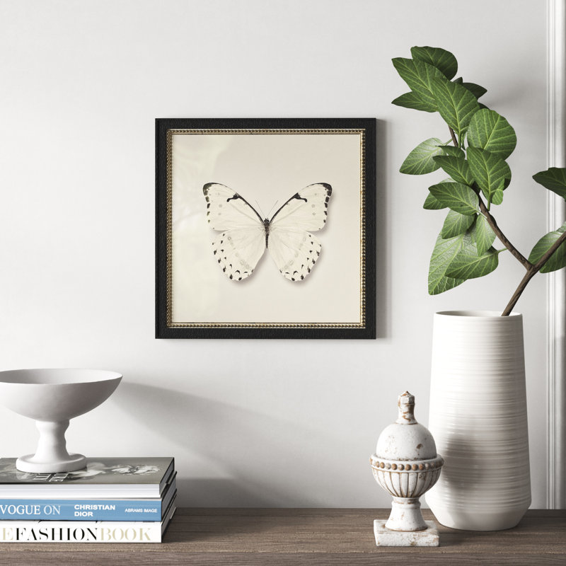 butterfly ii