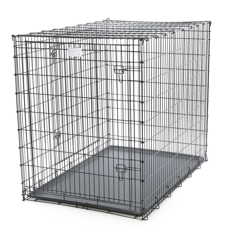 midwest homes dog crate