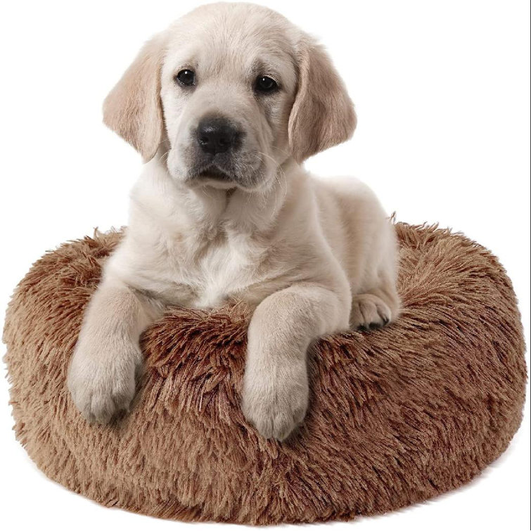 extra soft dog bed