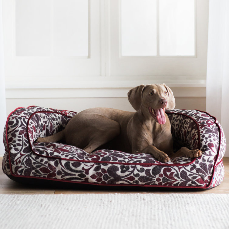 boy dog beds