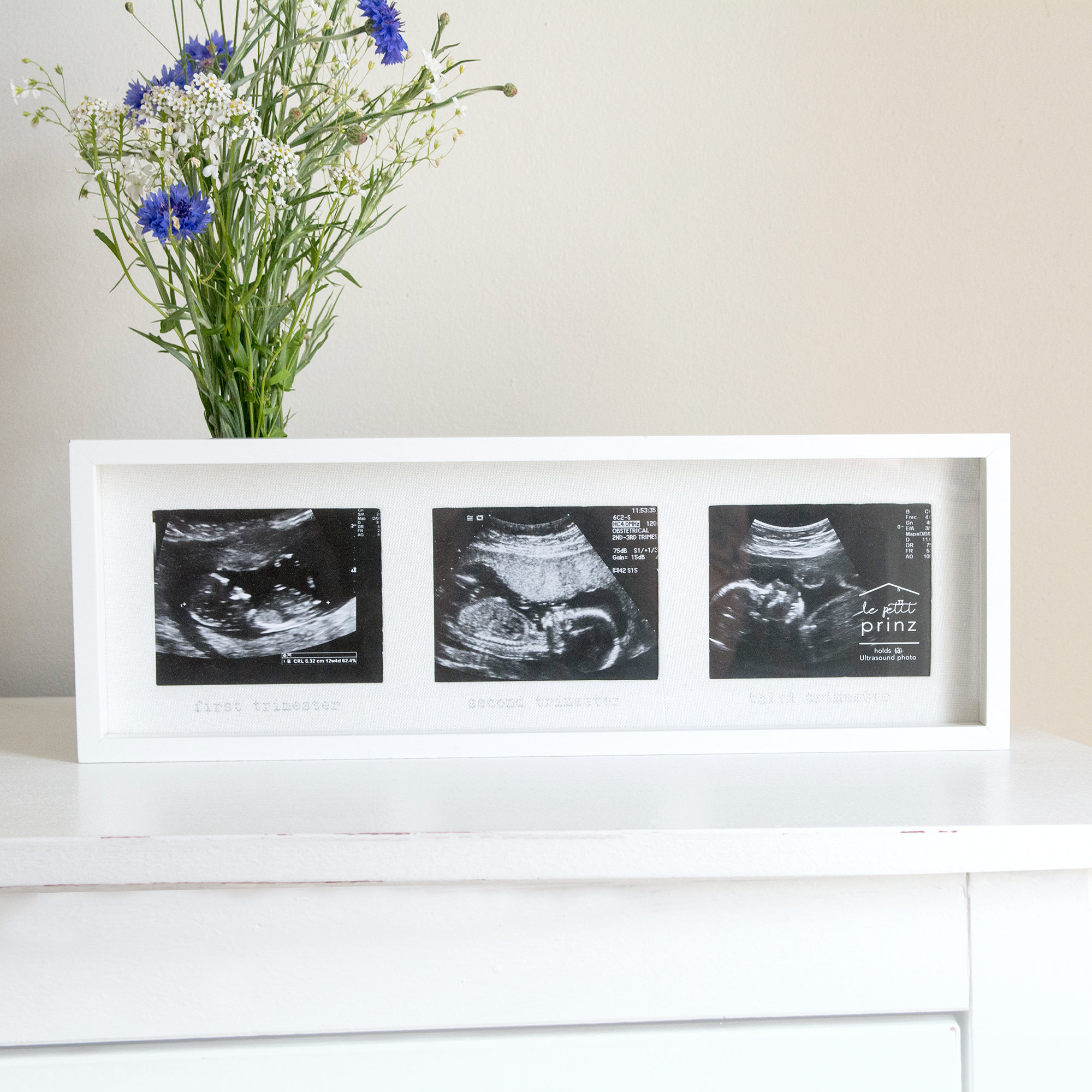Prinz 3 Opening Sonogram Trimester Horizontal Picture Frame Wayfair Opening Sonogram Trimester Horizontal