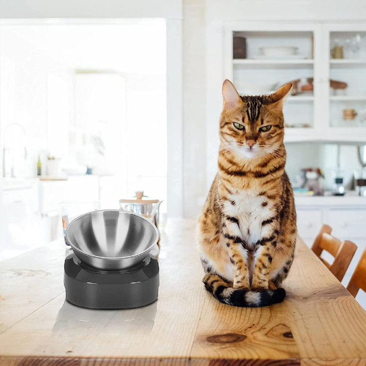 elevated cat dishes