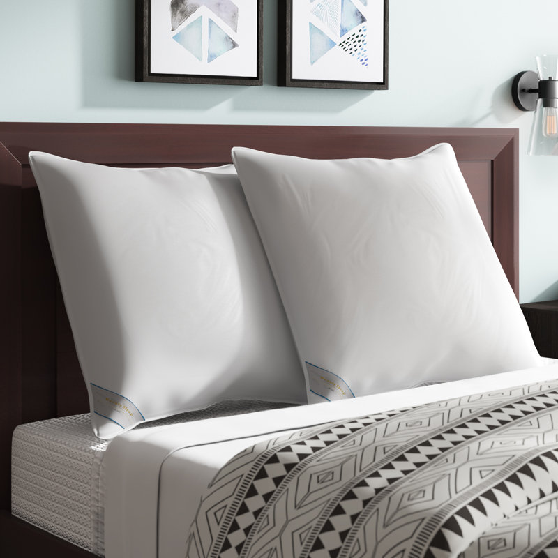 Alwyn Home Soft Down Alternative European Pillow Reviews Wayfair