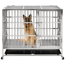 cyrus pet crate