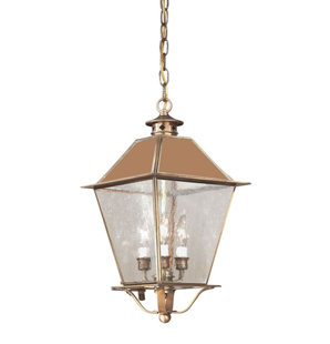 Best Theodore 3-Light Outdoor Hanging Lantern By Darby Home Co Outdoor Lighting Theodore 3-Light Outdoor Hanging Lantern By Darby Home Co Outdoor Lighting