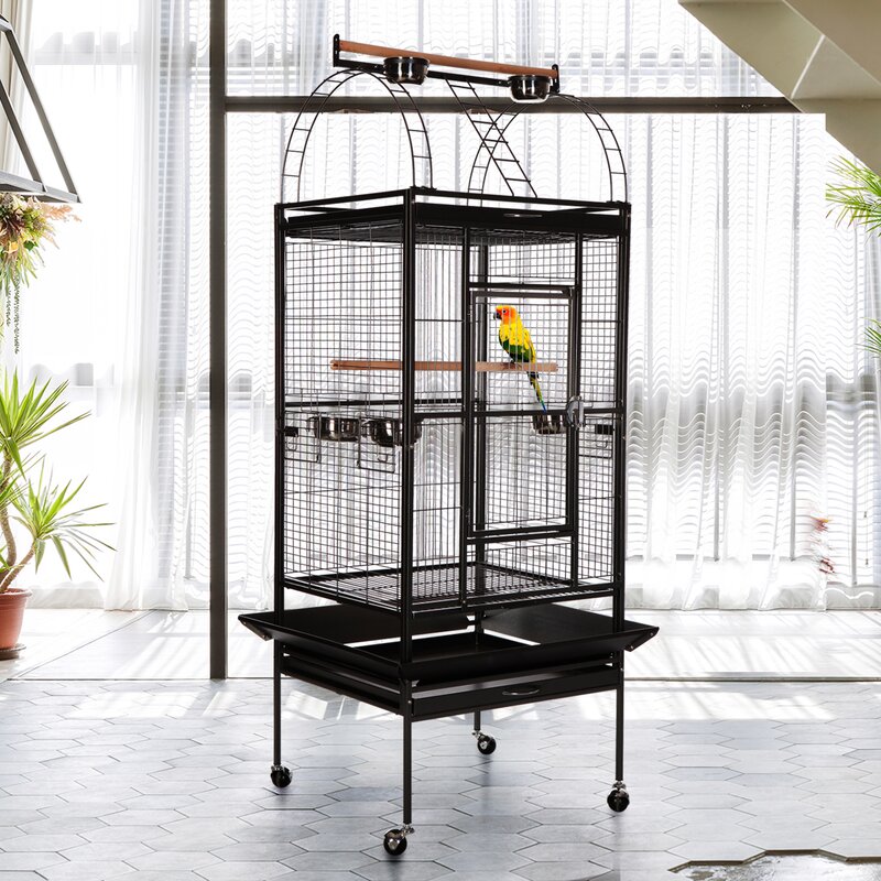 bird flight cage