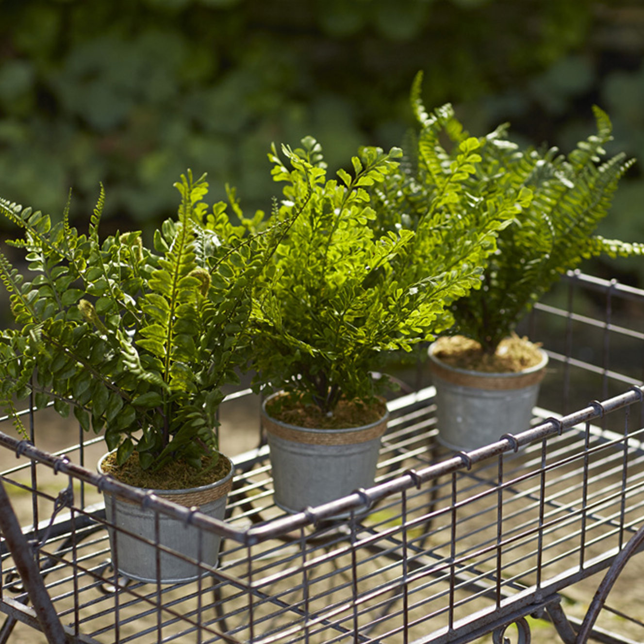 Gracie Oaks Faux Fern Plant in Pot & Reviews Wayfair