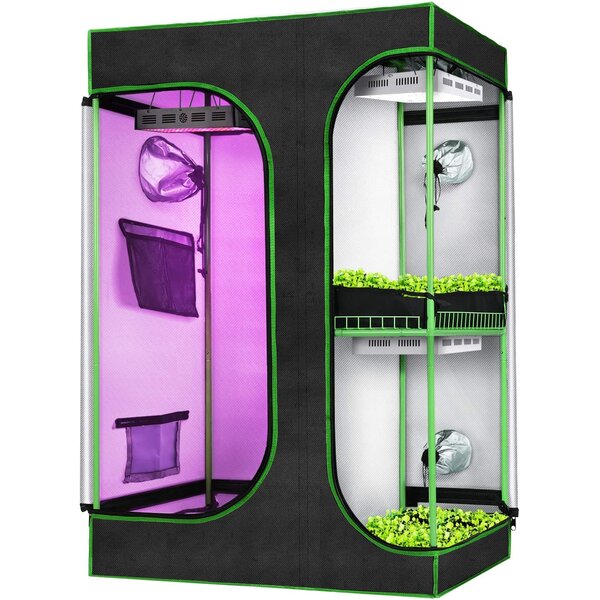 Kingso 2 In 1 Grow Tent 3x2 Plant Growing Tents Indoor Grow Tent Mylar Reflective 600d Canvas Indoor Hydroponic Growing System With Removable Floor Tray And Observation Window 36 X24 X53 Wayfair