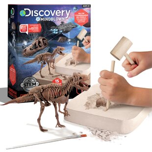 2022 Kid Dino Kit Juego De Excavación De Fósiles De Dinosaur 