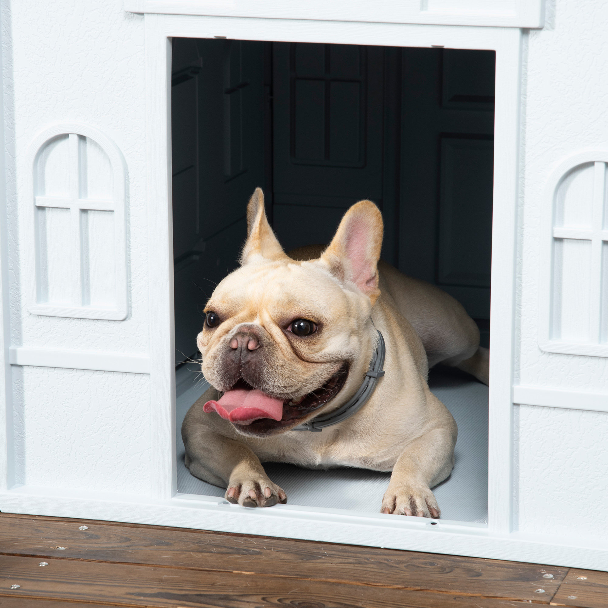 how do you clean plastic dog doors