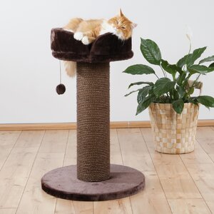 Pepino Scratching Post