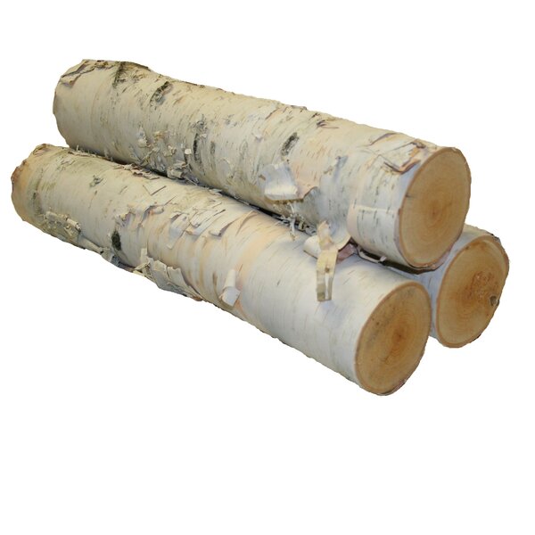 15 Pieces Assorted Sizes White Birch Logs 