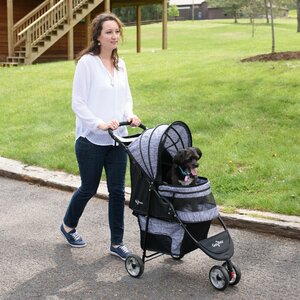 Regal Pet Stroller