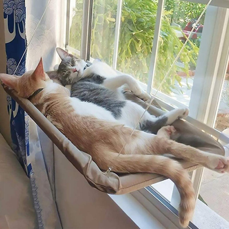 large cat hammock