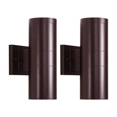 Raley 2- Bulb Outdoor Wall Lantern