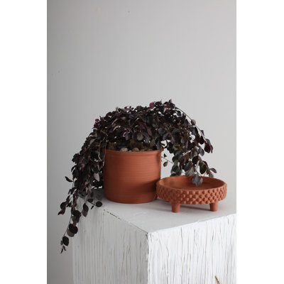 Hendrikka Jane Ceramic Pot Planter