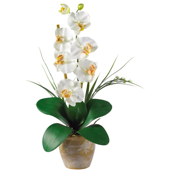 Nearly Natural Phalaenopsis Silk Orchid Flowers in Planter & Reviews