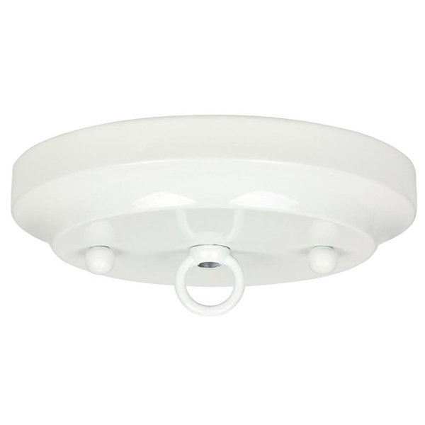 Westinghouse Lighting Canopy Kit Reviews Wayfair
