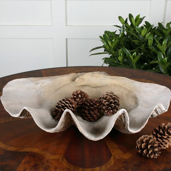 Beachcrest HomeÃ¢Â„Â¢ Clam Shell Decorative Bowl & Reviews | Wayfair - 