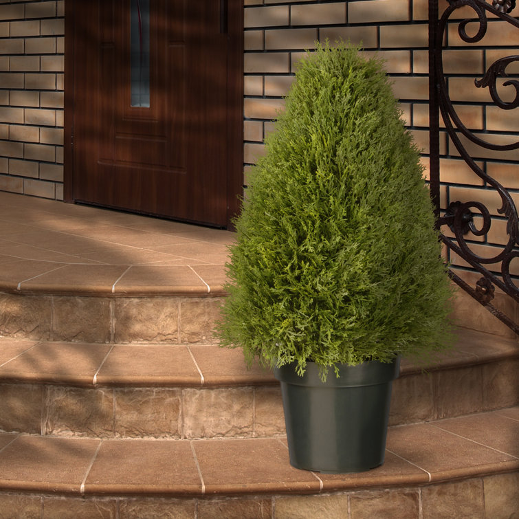 Darby Home Co Carpentersville Artificial Evergreen Topiary In Pot Reviews Wayfair