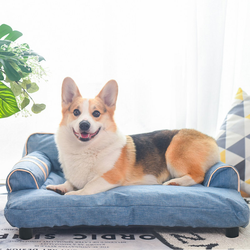 wayfair dog sofa