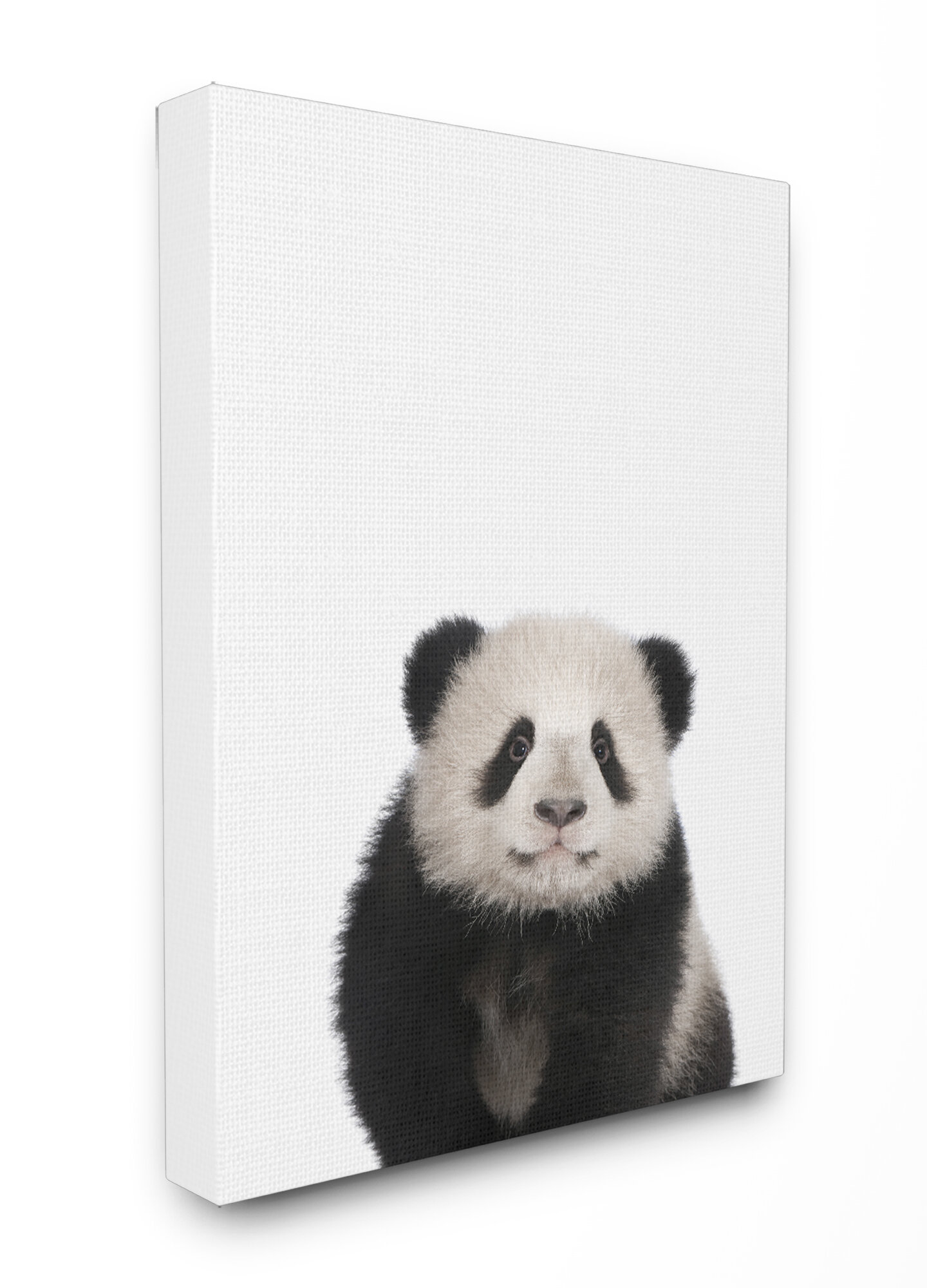 Harriet Bee Griffen Baby Panda Studio Photo Canvas Art | Wayfair