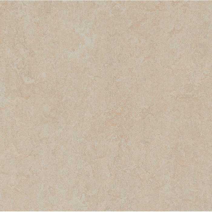 Forbo Marmoleum Click Cinch Loc 11 81 X 35 43 X 9 9mm Cork