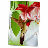 Hummingbird Towels Wayfair