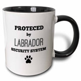 Home Security Systems Wayfair