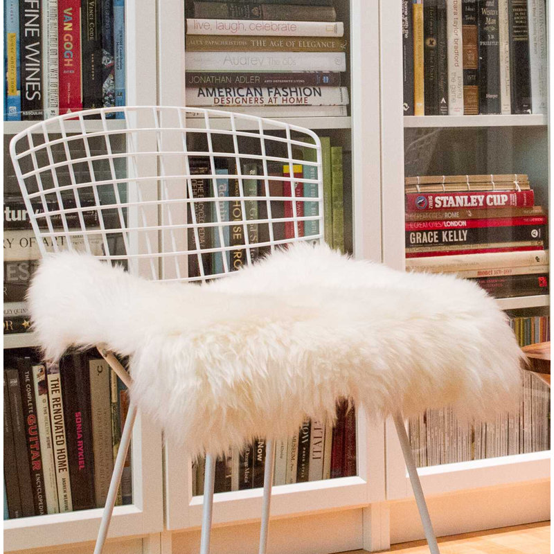 Mercer41 New Zealand Sheepskin Indoor Dining Chair Cushion Wayfair