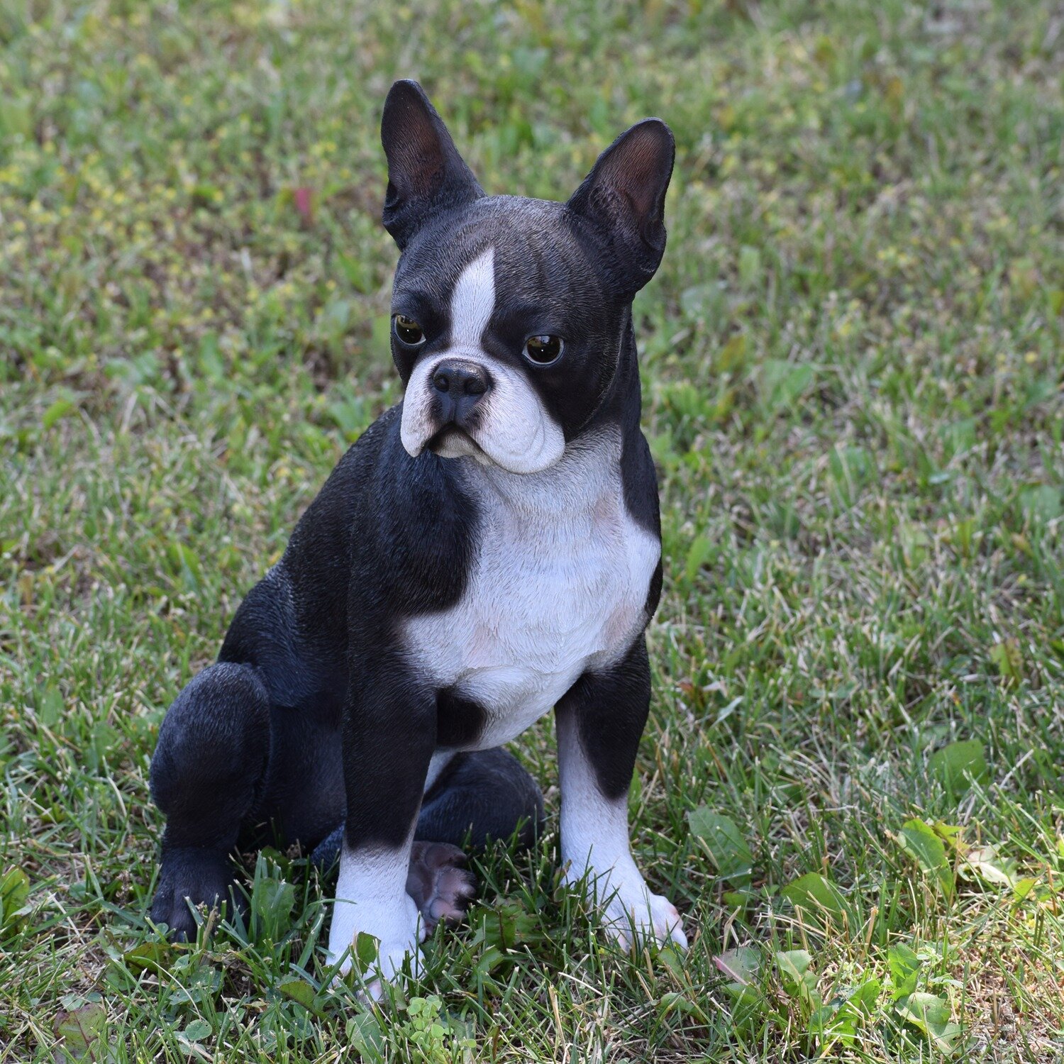 Hi-Line Gift Ltd. Dog Boston Terrier Statue & Reviews | Wayfair