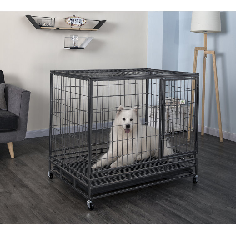 medium size dog crate
