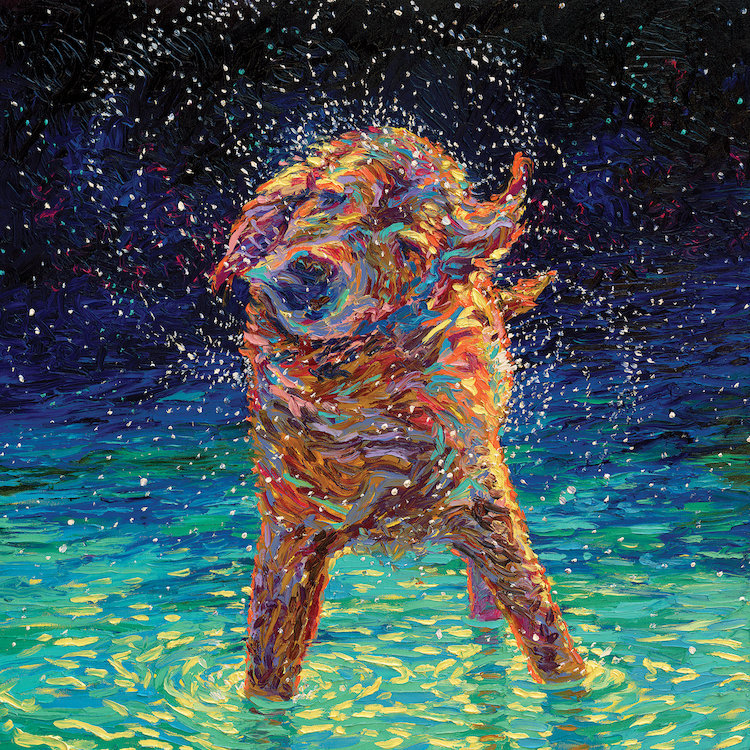 Moonlight Swim By Iris Scott Wrapped Canvas Print Reviews