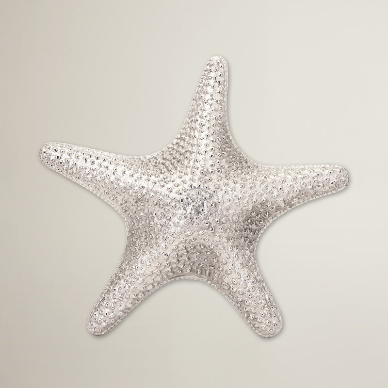 Rosecliff Heights Starfish Wall Decor Reviews Wayfair