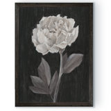 Black And White Flower Art Wayfair