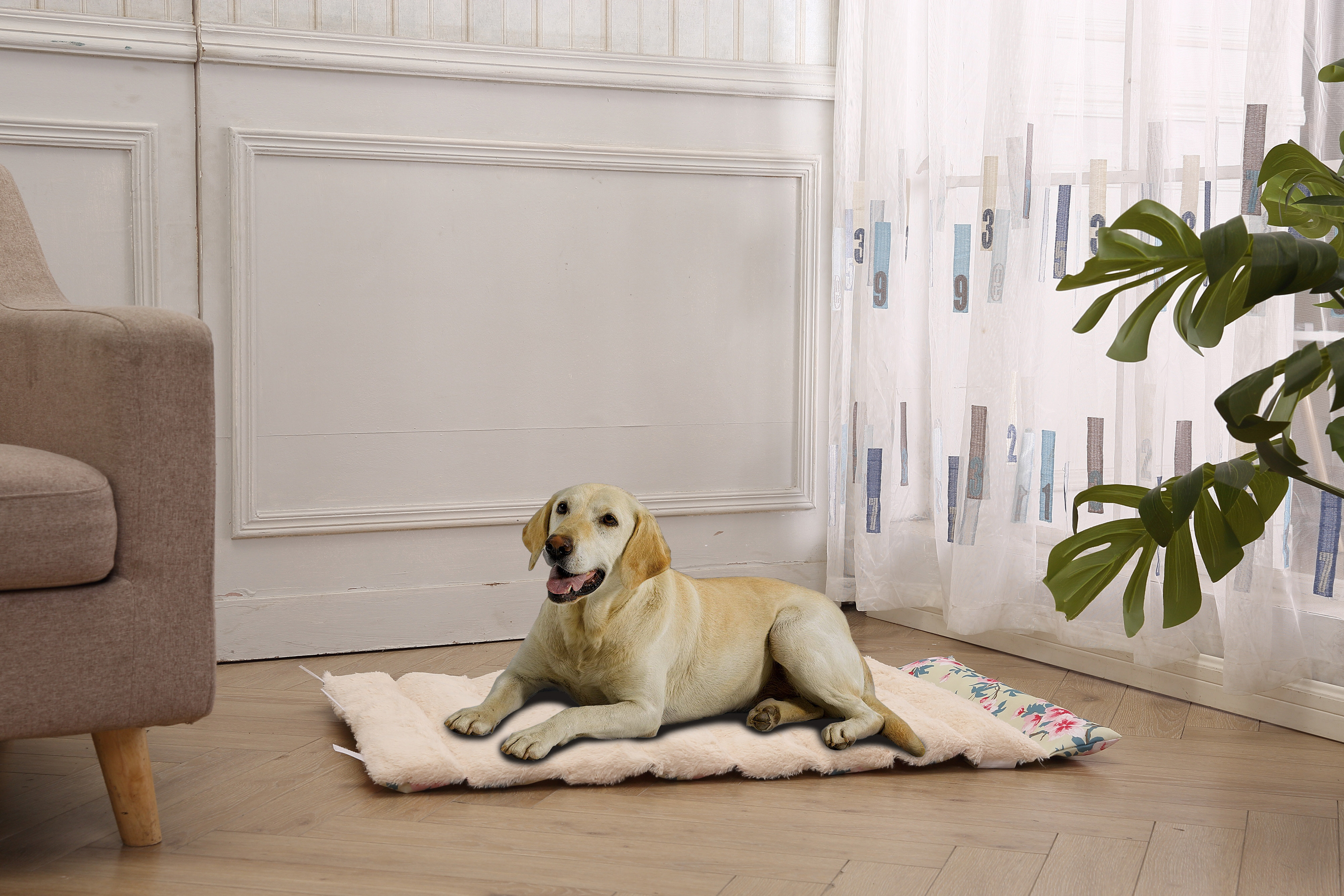 rosewood orthopedic dog bed