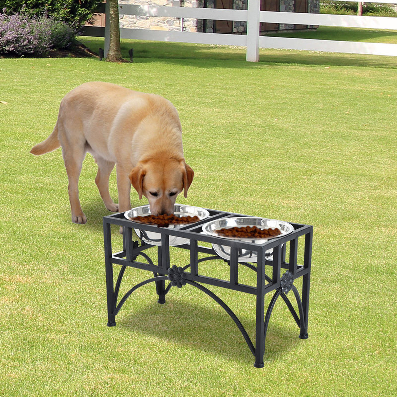 wayfair elevated dog bowls