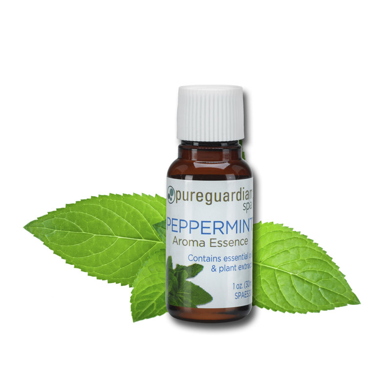 Pureguardian Peppermint Aroma Essence With Essential Oil And Plant Extracts 30 Ml Reviews Wayfair