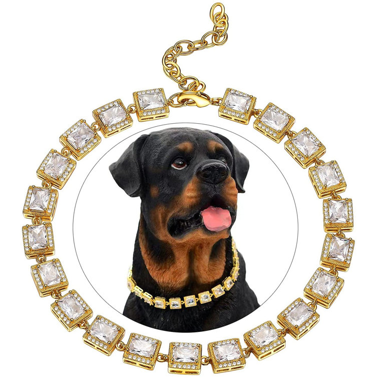 iced out dog collars