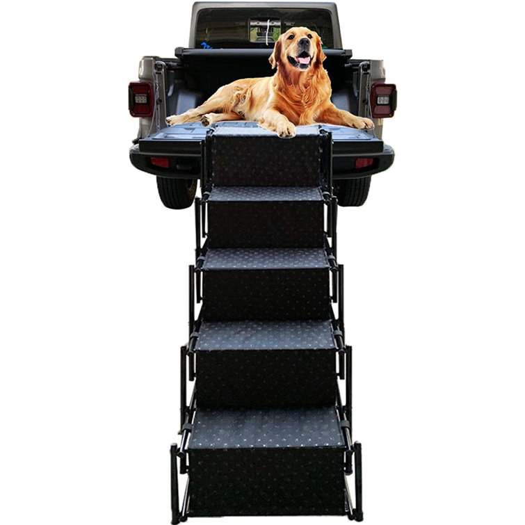accordion pet steps