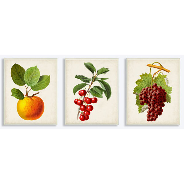 Gracie Oaks Vintage Fruits Food Kitchen Dining Room Painting Design 3 Piece Graphic Art Set On Canvas Wayfair
