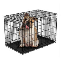 crate size for 20 lb dog