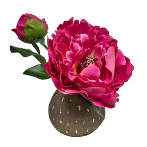 Korina Beauty Peony Centerpiece in Bud Vase