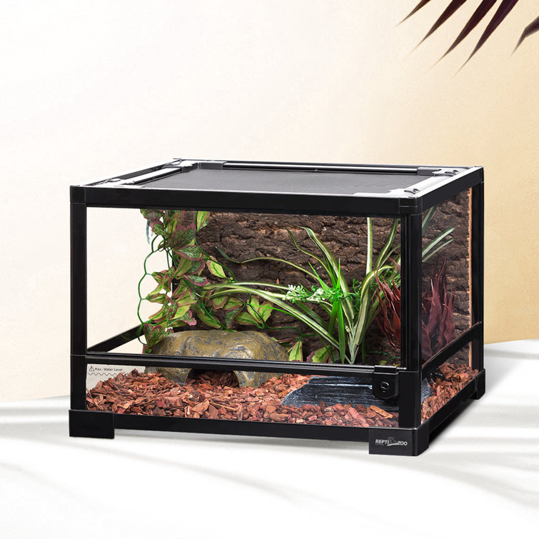 Reptizoo 25 Gallon Reptile Low Terrarium Upgrade Glass Front Opening Tank18 X 18 X 12 6 Knock Down Wayfair