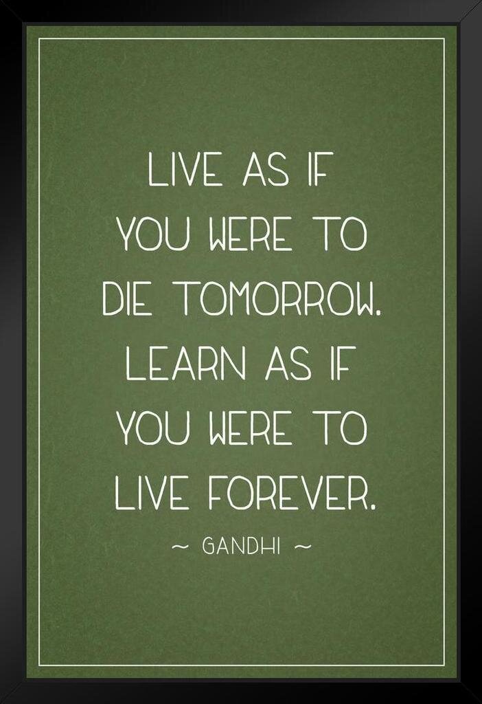 Trinx Mahatma Gandhi Live As If You Were Die Tomorrow Learn Live Forever Motivational Green Black Wood Framed Art Poster 14x Picture Frame Print Wayfair