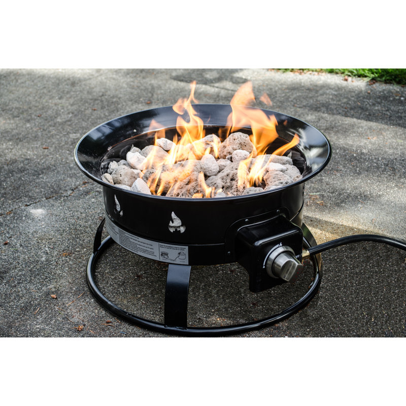 Heininger Portable Propane Outdoor Fire Pit Reviews Wayfair
