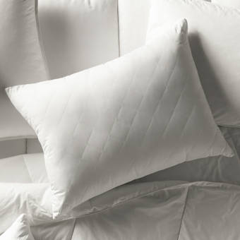 Wayfair Basics Extra Firm Quilted Polyester Bed Pillow Reviews