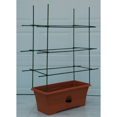 Rectangular Staking Plant Support Garden Patch