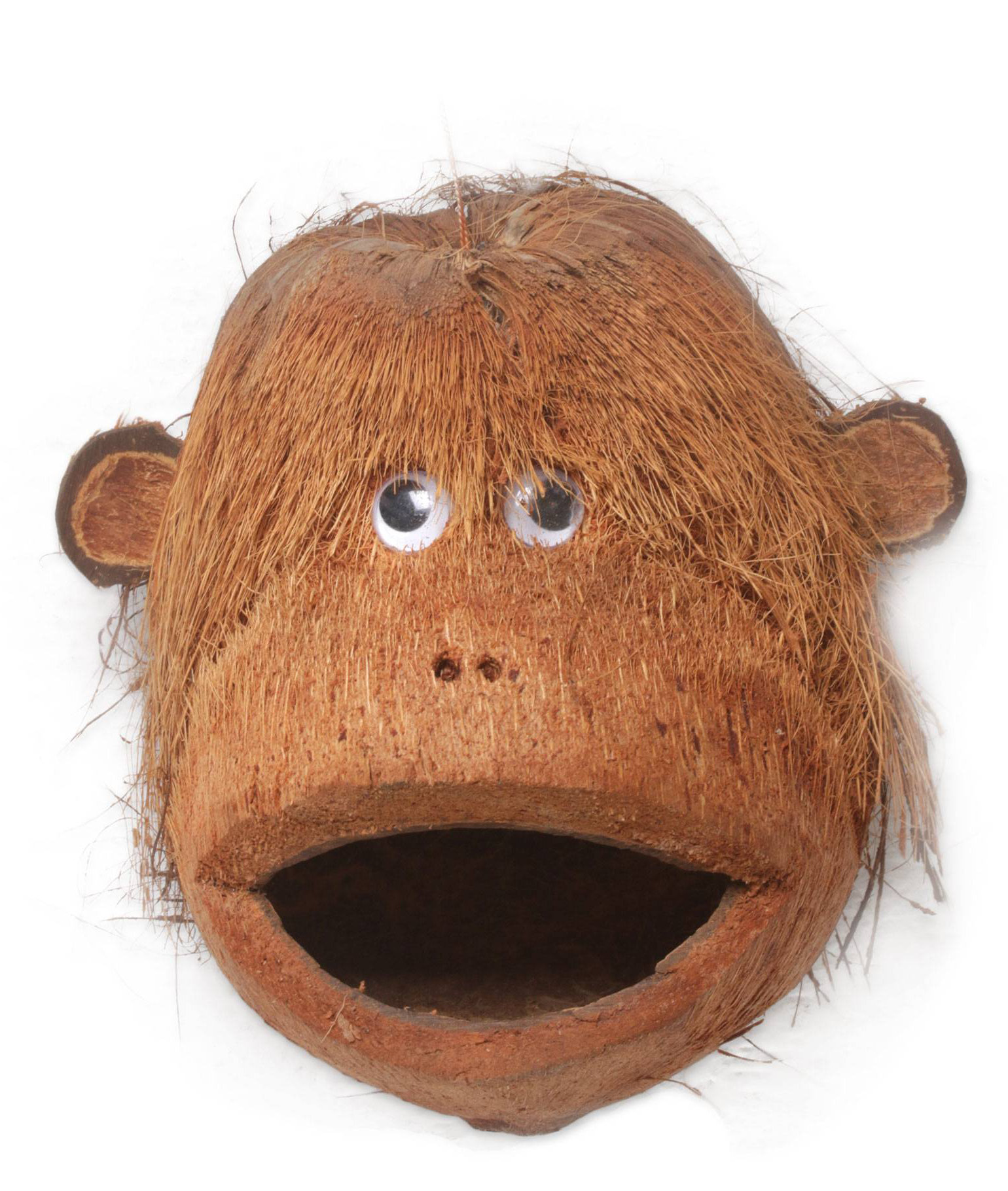 Bay Isle Home Lyons Handmade Gorilla Buddy Coconut Shell Bird