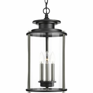 Evgenia 3 Light Outdoor Hanging Lantern